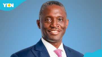 Osafo-Maafo’s son, others sacked in massive shake-up at SSNIT