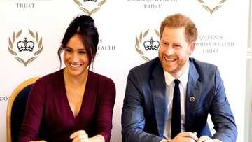 Prince Harry is living off inheritance his mom Princess Diana left him
