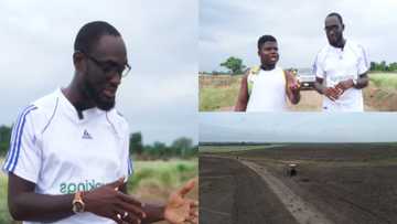 Meet young man who left America to set up 10,000 acre rice farm in Ghana