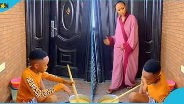 Akuapem Poloo: Ghanaian actress flaunts handsome son, commends him for cooking, video evokes joy