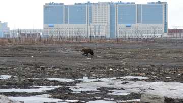 US creates Arctic ambassador as Russia, China competition rises