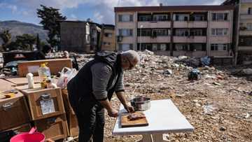 Quake hit one-fifth of Turkey's food production: UN