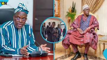 Speaker of Parliament Alban Bagbin shows off adowa dancing skills