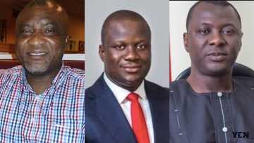 5 Akufo-Addo boys gearing up for parliament