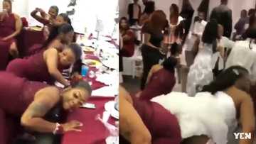 Bride suffers wardrobe malfunction at her wedding; pant shows while twerking with bridesmaids (video)