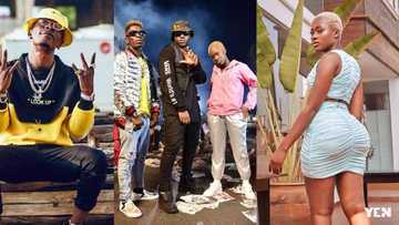 Shatta Wale turns 'betweener'; kneels in public to beg Fella Makafui on Medikal's behalf