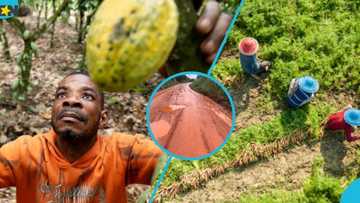 Farmers in Okere district face dire challenges due to bad toad infrastructure