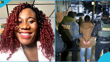Immigration lawyer advises Ghanaians at risk of being deported: "Get a power of attorney"