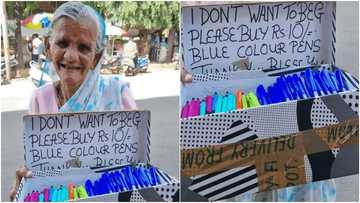 Elderly woman warms hearts with touching photo of her selling pens, says she doesn't want to beg, many react