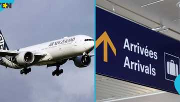 New Zealand lists 2 key rules guiding Ghanaians and other foreigners on Entertainers Work Visa