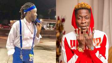 Forgive bipolar Shatta Wale - Showboy begs Ghanaians over dancehall artiste's outbursts