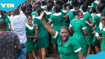 Health Ministry opens recruitment for nurses to work in Grenada