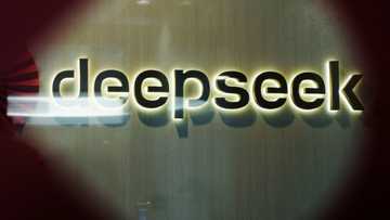 S. Korea says DeepSeek removed from local app stores pending privacy review