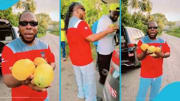 Edem plucks cocoa from the bush, speaks thick Twi as he flaunts it in video