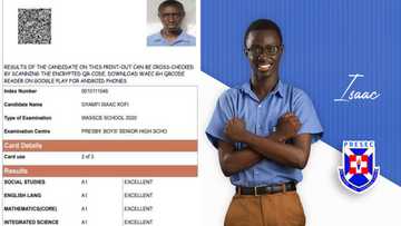 WASSCE result of PRESEC's NSMQ star Gakpetor's co-contenstant Gyamfi Isaac pops up online (photo)