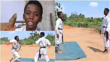 Kung Fu brothers reveal why their father taught them how to fight, show amazing techniques in video