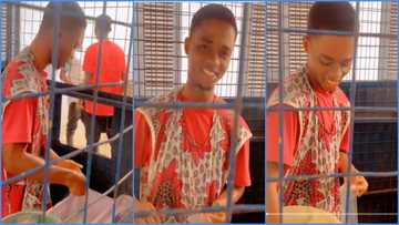 Ghanaian lady flaunts handsome lover who works as a porridge seller, video sparks reactions