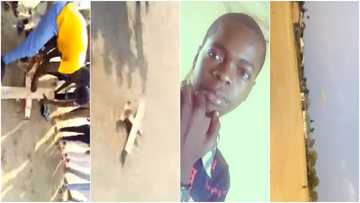 Jubilation as talented boy builds 'aeroplane' and flies it, sends social media into frenzy