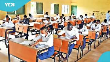 2025 WASSCE candidates blame authorities for failing papers, video