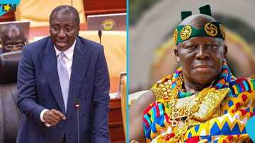 Afenyo-Markin engages Otumfuo in high-level meeting, discuss NPP's future with party elders