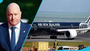 New Zealand lists 6 requirements Ghanaians and other foreigners must meet for special work visa