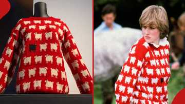 Princess Diana’s sheep sweater sells for record-breaking at GH¢12,620,500 at auction