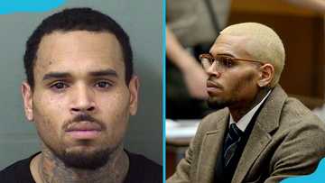 A full list of Chris Brown's lawsuits, legal troubles, and arrest timelines