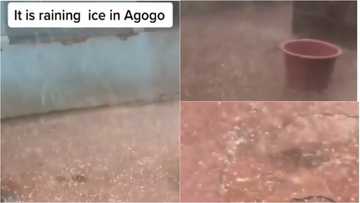 Ice nkoaa 24/7 - Ghanaians react as video of 'Ice pellets' falling at Agogo on hot afternoon goes viral