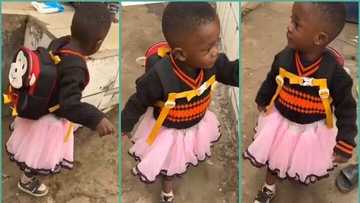 Little boy returns from school in a skirt, funny video trends: "Some teachers will not make heaven