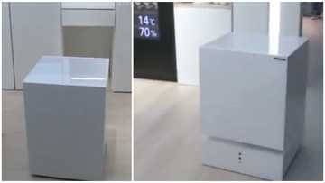 Laziness being encouraged - Social media users react to video of fridge that listens and drives to its owner when called