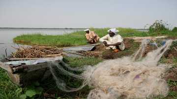 Boko Haram jihadists kill fishermen in Lake Chad: sources