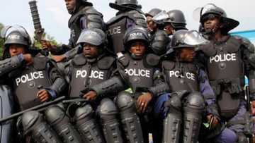 Heavily armed police officers stationed at Commonwealth Hall entrance