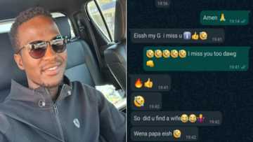 “Did You Find a Wife?”: man shares Screenshots of hilarious convo with son
