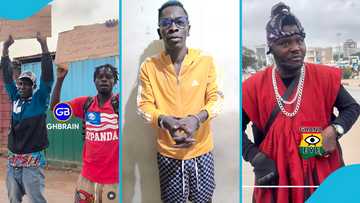Shatta Wale's fans storm EOCO office to campaign for his release amid his detention, video stirs reactions