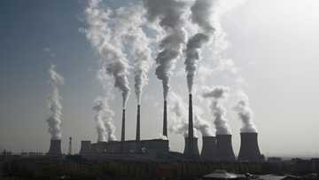 China speeding up approvals for new coal plants: Greenpeace