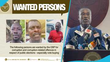 Special Prosecutor declares 3 people wanted over vote-buying and corruption following NPP primaries