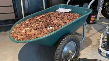 Man gets sued after dumping Ghc5,000 coins at his former employee's home