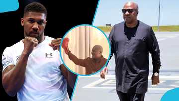 President John Mahama playfully tries an uppercut against Anthony Joshua at Jubilee House: Video