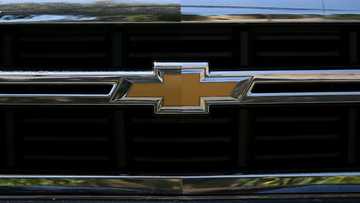 GM unveils electric SUV aimed at middle class
