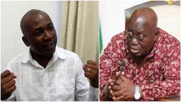 Prof Bokpin schools Akufo-Addo: Economist shows president how he can govern with only 40 ministers