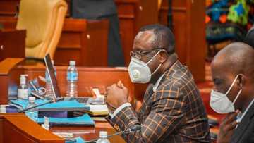 "We have no power to reject anybody" -Appointments Committee chair