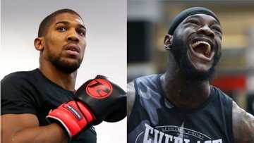 Anthony Joshua sends stunning response to Fury who says Wilder will beat him in 2 rounds