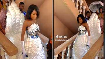 Bride recycles plastic cups and plates into plush gown, many in awe of her elegance