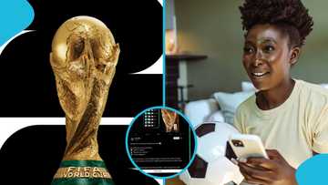Excitement builds as AI predicts 2026 FIFA World Cup winners