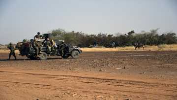 Niger lists 15 anti-rebel operations with French forces