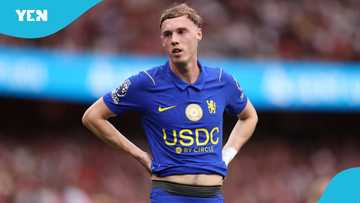Cole Palmer hit with fresh ban after streaming EA Sports FC 27