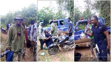 Thugs bully two Ghanaian policemen in thick bush; video goes viral