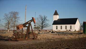 OPEC+ cartel's grip on oil market loosening: IEA