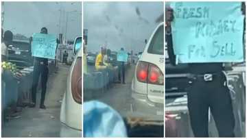Frustrated man puts up his kidney for sale, captured in traffic with cardboard