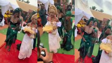 Bridesmaid steals shine of bride as she gives 'free show'; guests spray cash on her instead